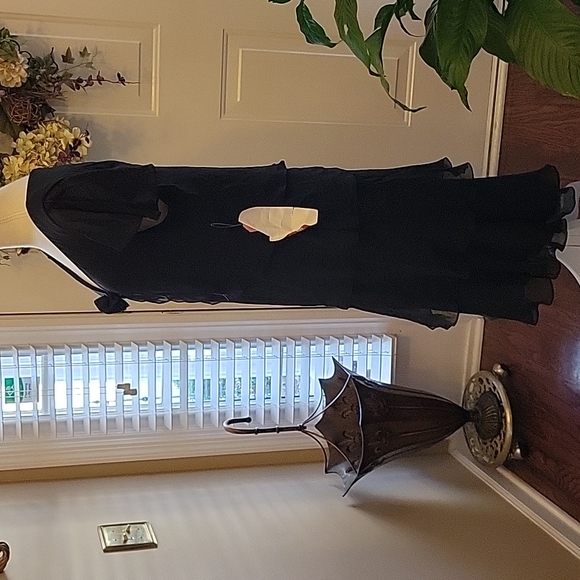 Dani Max black tiered dress sheer cap ruffle sleeve Fabric rose Vneck sz 18 New… - Picture 5 of 8